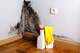 Best Mold Prevention Services  in Madison, SD